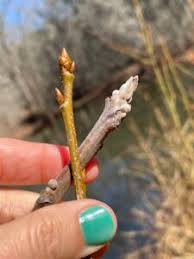 past classes & events