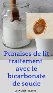 De plus, nous mettons en place un traitement préventif afin que les punaises de lit ne reviennent pas. Comment Traiter Les Punaises De Lit Avec Du Bicarbonate De Soude Punaises De Lit Bicarbonate De Soude Puce De Lit