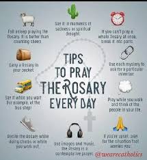 Prayed the same meal time prayer? Pray The Rosary Daily Tips Holyrosary Pray Holy Rosary Rosary
