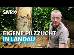 Der Pilz Profi 4 6 Mein Leckerer Garten Youtube In 2020 Pilze Garten Lecker