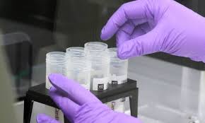 Aug 26, 2020 · a new test may help curb the spread of the novel coronavirus. Home Saliva Covid Tests Are Just As Accurate As Nasal Swabs Miami Herald