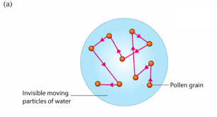 It is commonly referred to as brownian movement. A What Is Brownian Motion Draw A Diagram To Show The Movement Of A Particle Like A Pollen Grain During Brownian Motion B In A Beam Of Sunlight Entering A Room We Can