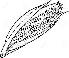 Newest additions abstract nature geometric. Corn Coloring Page Hand Drawn Illustration For Adult And Children Vector Art For Coloring Book Textile Print Poster Design Royalty Free Cliparts Vectors And Stock Illustration Image 80337284
