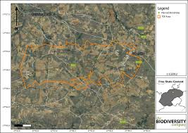 Image result for Bergia pentheriana