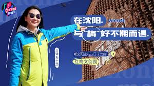 视频： 新城事| Vlog8：沈阳红梅文创园，与“梅”好不期而遇_手机新浪网