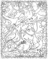 School's out for summer, so keep kids of all ages busy with summer coloring sheets. Welcome To Dover Publications Dover Coloring Pages Coloring Pages Coloring Books