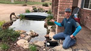Ecosystem koi ponds can be easy to understand if you have a good grasp of what components go into a basic, functioning ecosystem. Intake Bay Vs Skimmer Youtube