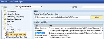So, please can anyone tell me whether it's possible to download gu . How To Find The Location Of The Saplogon Ini File In Sap Gui Winshuttle