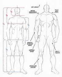 Learn vocabulary, terms and more with flashcards, games and other study tools. 310 Male Figure Reference Ideas In 2021 Anatomy Drawing Anatomy Reference Anatomy Art