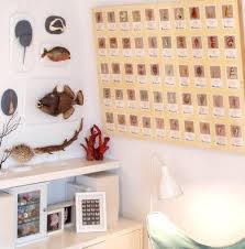 Pin On Cabinet Of Curiosites