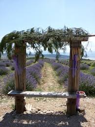 Bu videoda lavanta kokulu köyü gezdik ve bil. Isparta Keciborlu Kuyucak Lavanta Kokulu Koy Gezisi Geziyoruz Org
