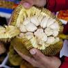 Bentuk buah, rasa dan keharumannya seperti nangka, meski. Https Encrypted Tbn0 Gstatic Com Images Q Tbn And9gcs4re3gdm9s8n977cqaiamwqmhcos2yjkpp4wjetyaexu A81yj Usqp Cau