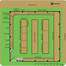 Garden Plans For A Northern Michigan Garden Michigan Gardening Garden Layout Vegetable Garden Planning