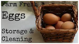 Farm Fresh Eggs Storage And Cleaning Youtube