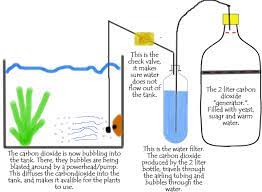 Diy Co2 Setup For The Planted Aquarium Aquaponics Fish Planted Aquarium Freshwater Aquarium Plants