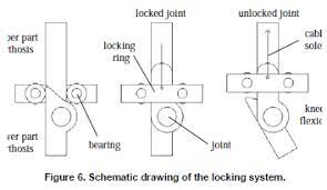 Describe the origin, insertion, nerve supply & actions of deep muscles of. Scielo Brasil Automatic Knee Flexion In Lower Limb Orthoses Automatic Knee Flexion In Lower Limb Orthoses