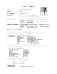 Curriculum vitae, cv formats, cv for sri lanka, private company cv format, latest cv samples, new cv formats, download cv, online cv, bio. Curriculum Vitae Format Pdf Sri Lanka 10 Accounting Curriculum Vitae Templates Pdf Doc Free Premium Templates Building An Attractive Cv Helps In Increasing Your Chances Of Getting The Job Elizabethx Veal