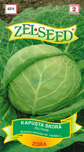 Image result for hlávková kapusta