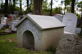 Gateway pet cemetery offers cremation and burial services for equine and other large pets. At America S First Pet Cemetery Beloved Animals From Lizards To Lions Find A Peaceful Resting Place Roadtrippers