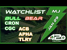 Jan 29 Marijuana Stock Chart Analysis Cgc Weed Tlry Acb Apha Cron Canopy Massive Options
