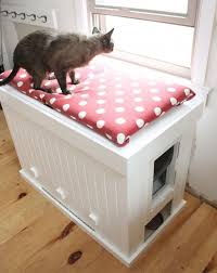 Machen Sie Eine Katzentoilette Die Als Bank Verdoppelt Katzen Toilette Katzentoilette Katzen