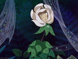 There are many flowers with faces but only a rose talk. The Flowers Alice In Wonderland Wiki Fandom