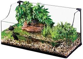 Amazon Com Exo Terra Bent Glass Turtle Terrarium 36 By 18 By 12 Inch Pet Terrariums Pet Supplies Turtle Terrarium Turtle Habitat Turtle Aquarium