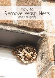 How to get rid of wasp nest in roof. How To Get Rid Of A Wasps Nest Simply Designing With Ashley