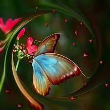 Pin By Juanita Martinez On Pictures For The Soul In 2020 Abstract Images Butterfly On Flower Abstract