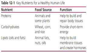 Soil profile  mature soils are arranged in a series of zones called soil horizons. Http Smsh Dadeschools Net Science Aycart Apes Unit 206 Chapter 2012 Pdf