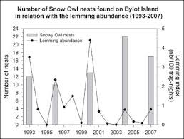 About The Snowy Owl The Snowy Owl