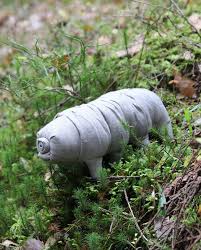 This Item Is Unavailable Tardigrade Moss Piglet Biology Art