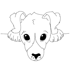 Welpen Zeichnen Lernen Schritt Fur Schritt Tutorial Zeichnen Leicht Gemacht