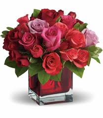 Maybe you would like to learn more about one of these? Free Photo Red Roses Bloom Blossom Flowers Free Download Jooinn