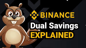 It was a 2 step process though. Binance Dual Savings Explained Youtube