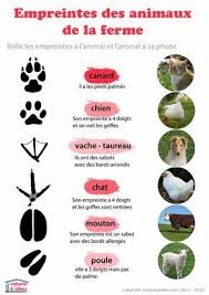 Epingle Sur Ferme Peda