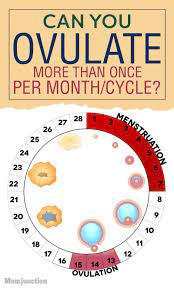 Pin On Health Pregnancy Birth Baby R