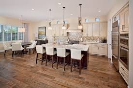 elegant kitchen designs houzz