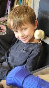 Building this enclosure for meat birds. I have a shelter I'll put inside  and plan