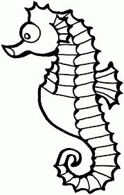 Cartoon Seahorse Pictures Horse Coloring Pages Animal Coloring Pages Fish Coloring Page