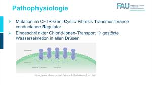Die zystische fibrose kommt durch eine funktionsstörung der sekrete herstellenden drüsen zustande. Innere Medizin Mukoviszidose Teil 1 2 Youtube