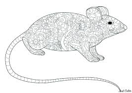 Free printable coloring pages and connect the dot pages for kids. Mouse To Color For Kids Mouse Kids Coloring Pages