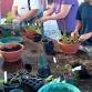 Create a Bog Garden Planter