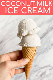 Coconut Milk Ice Cream Dairy Free Vanilla Ice Cream Coconut Milk Ice Cream Dairy Free Vanilla Ice Cream Vanilla Ice Cream Recipe