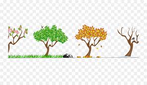 Find the perfect four seasons cartoon illustration stock photo. Earth Cartoon Drawing Png Download 800 504 Free Transparent Season Png Download Cleanpng Kisspng