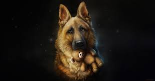 We did not find results for: German Shepherd 4k Ultra Hd Wallpaper Hintergrund 4400x2330