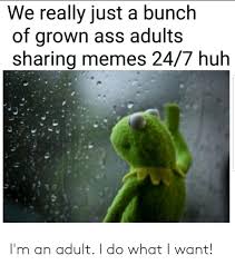 We Really Just A Bunch Of Grown Ass Adults Sharing Memes 247 Huh I M An Adult I Do What I Want Funny Meme On Me Me
