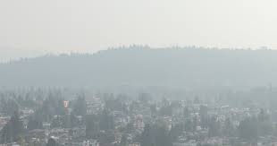 News source: CTV News