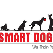 Booking chennai pet sitters via petbacker has benefits such as enforced daily photo or video updates get a pet lover to care, not a cage personal care and attention stay in a home near yours stay in familiar. The 10 Best Pet Sitting Specialists In Chennai Last Updated June 2021 Starofservice