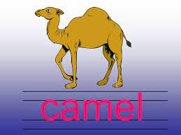 Now this is the next tale, and it tells how the camel got his big hump. Ant Bear Ox Camel Cat Deer Tortoise Pig Yak Ppt Download
